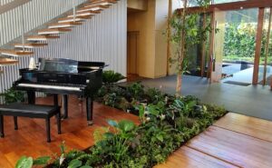 A polished black grand piano takes center stage in an elegant living space, surrounded by a sunken garden bed filled with lush greenery. A modern staircase and glass-panelled doorway accentuate the harmonious blend of nature and sophistication.