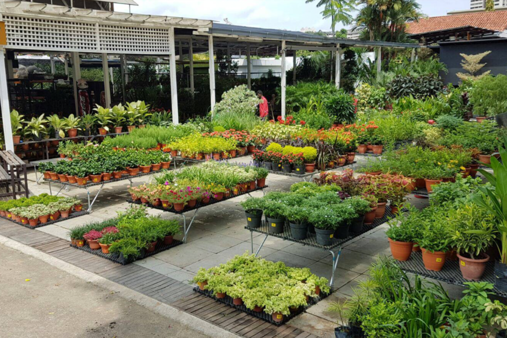 A vibrant outdoor plant nursery displays a wide variety of potted plants and flowers arranged on metal tables. The nursery is covered by a large shade structure with a white trellis ceiling. In the background, a person in red can be seen tending to the plants, while taller shrubs and trees line the perimeter. The scene exudes a sense of lushness and abundance.