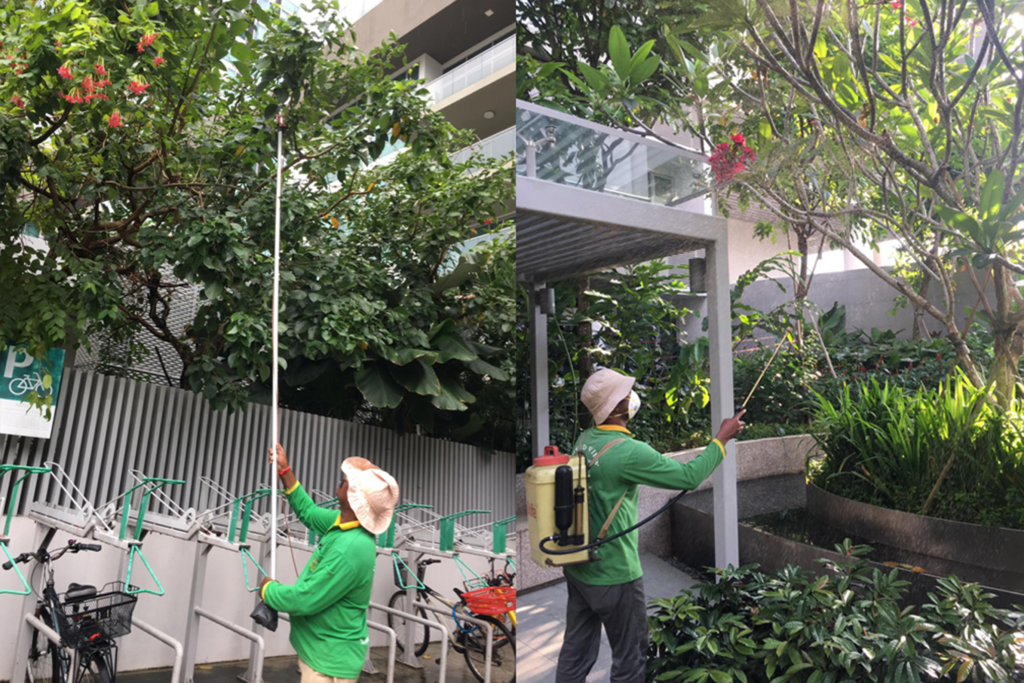 two men doing maintenance of landscaping