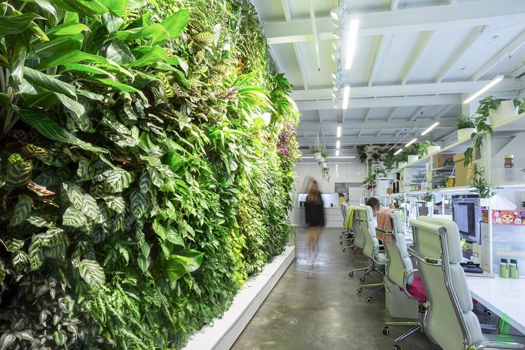 A lush, floor-to-ceiling green wall dominates the interior of a modern office space. The vibrant plants create a refreshing contrast against the white walls and concrete floors, while natural light floods the room. A person walks in front of the living wall, showcasing its scale and impact. The image evokes a sense of calm and well-being in the workplace.